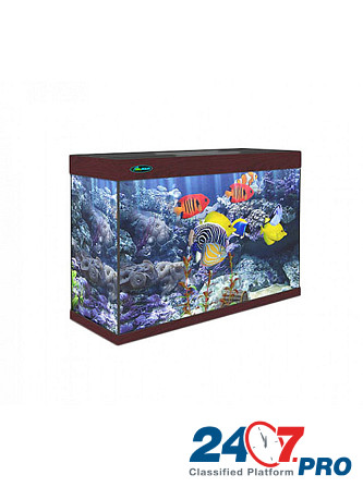 Заказать аквариум для рыбок Москва - изображение 3