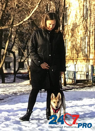 Щеночек девочка Лилу ищет семью Moscow - photo 5