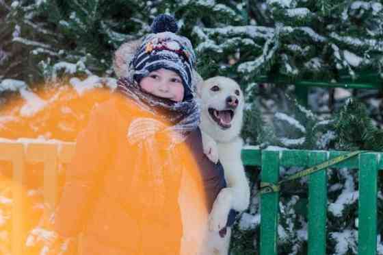 Мировой красавец-пёс Sankt-Peterburg
