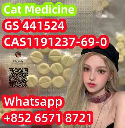 Cat medicine CAS1191237-69-0 GS 441524 Khabarovsk
