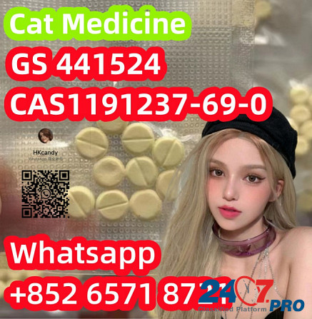 Cat medicine CAS1191237-69-0 GS 441524 Хабаровск - изображение 1
