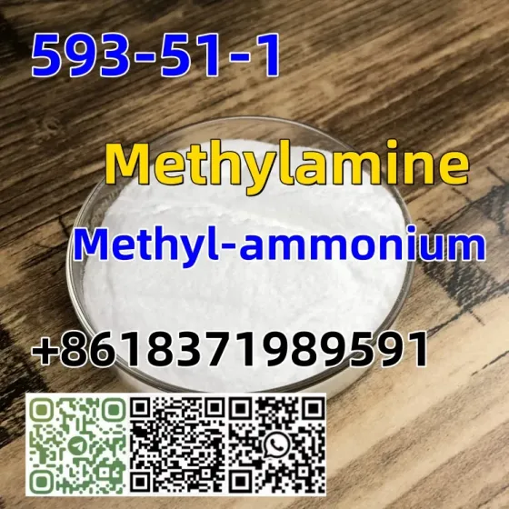 CAS 593-51-1 Methylamine hydrochloride LT-S9151 good price with high qualtiy Moscow