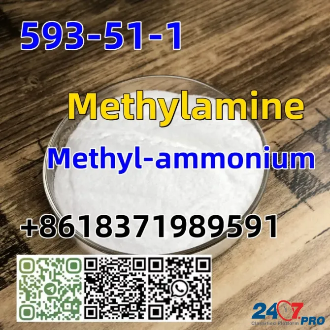 CAS 593-51-1 Methylamine hydrochloride LT-S9151 good price with high qualtiy Moscow - photo 6
