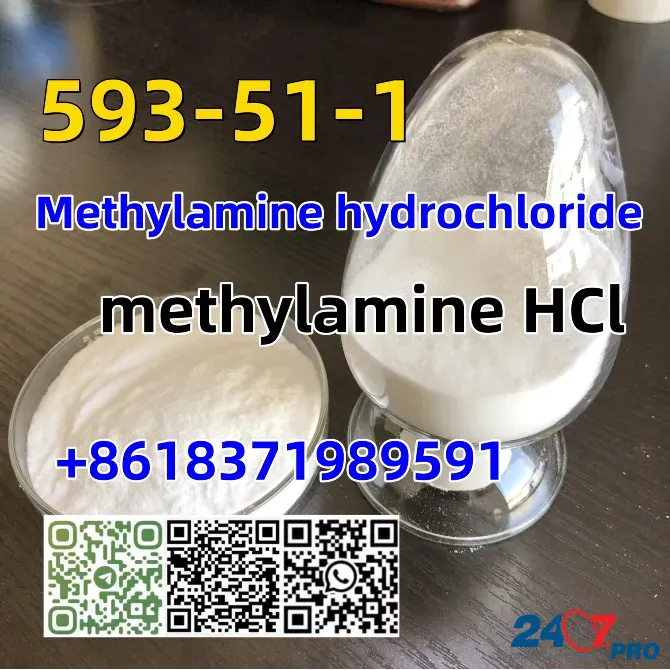 CAS 593-51-1 Methylamine hydrochloride LT-S9151 good price with high qualtiy Moscow - photo 1