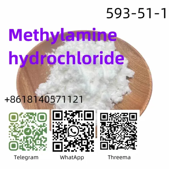 Factory Supply Methylamine Hydrochloride CAS 593-51-1 with Safe Delivery Shijiazhuang