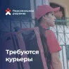 Курьер пеший/вело/авто/на самокате (ежедневные выплаты) Krasnodar