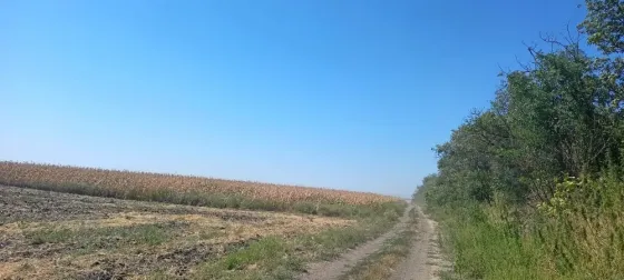 Продажа земельных участков сельхозназначения в Новоселицком районе Ставропольского края Novoselitskoye
