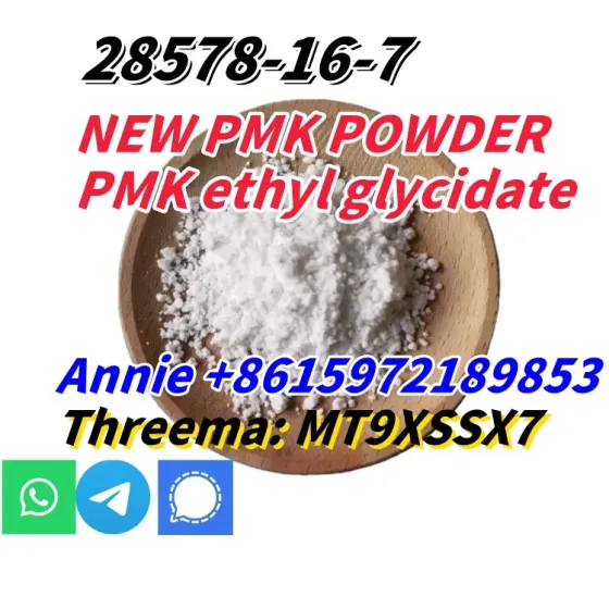 CAS 28578–16–7 PMK ethyl glycidate NEW PMK POWDER Сьюдад-Боливар