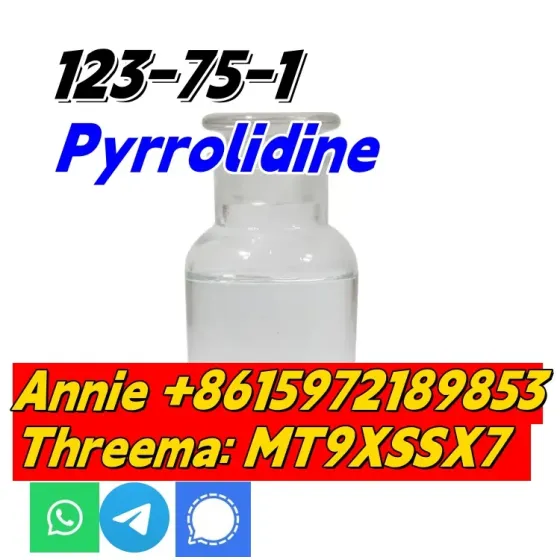 Good quality Pyrrolidine CAS 123-75-1 factory supply with low price and fast shipping Сьюдад-Боливар
