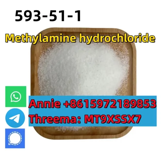 CAS 593-51-1 Methylamine hydrochloride LT-S9151 good price with high qualtiy Сьюдад-Боливар