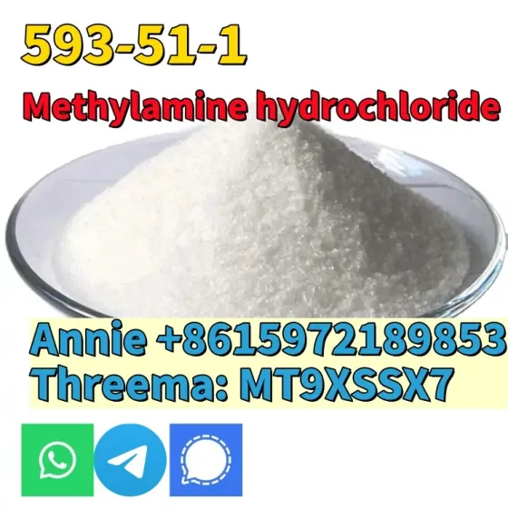 CAS 593-51-1 Methylamine hydrochloride LT-S9151 good price with high qualtiy Сьюдад-Боливар
