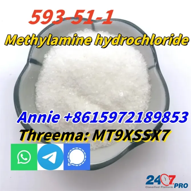 CAS 593-51-1 Methylamine hydrochloride LT-S9151 good price with high qualtiy Сьюдад-Боливар - изображение 1