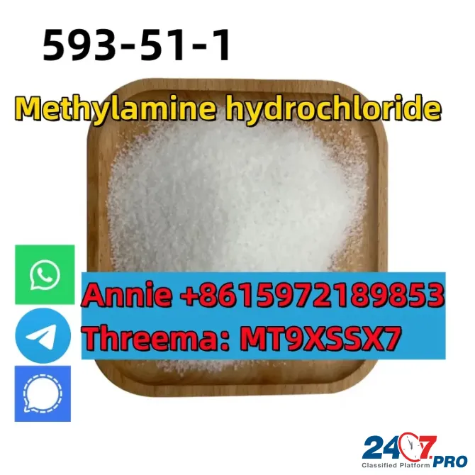 CAS 593-51-1 Methylamine hydrochloride LT-S9151 good price with high qualtiy Сьюдад-Боливар - изображение 2