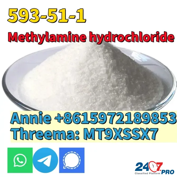 CAS 593-51-1 Methylamine hydrochloride LT-S9151 good price with high qualtiy Сьюдад-Боливар - изображение 3