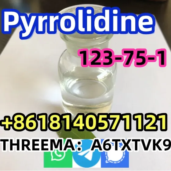 Good quality Pyrrolidine CAS 123-75-1 factory supply with low price and fast shipping Karak City