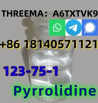 Good quality Pyrrolidine CAS 123-75-1 factory supply with low price and fast shipping Karak City