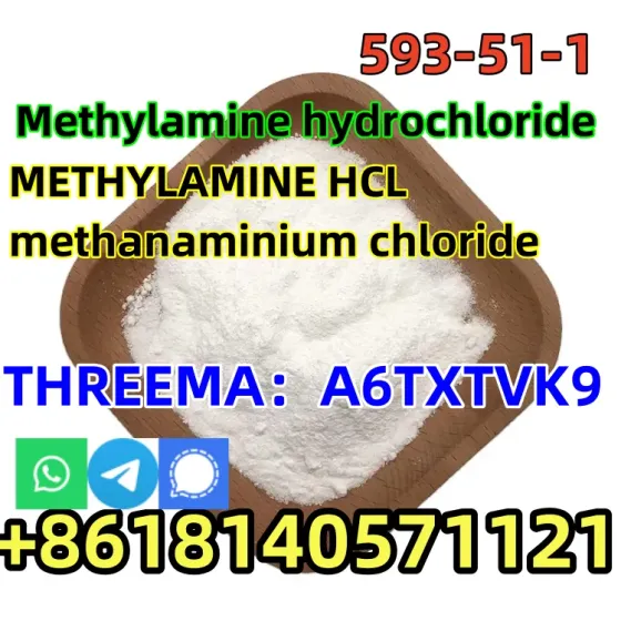 CAS 593-51-1 Methylamine hydrochloride LT-S9151 good price with high qualtiy Hefei
