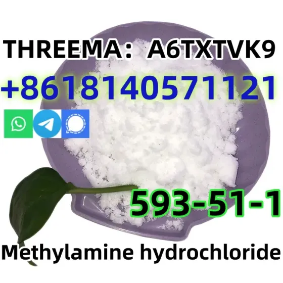 CAS 593-51-1 Methylamine hydrochloride LT-S9151 good price with high qualtiy Хэфэй