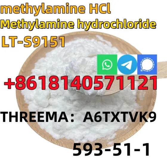 CAS 593-51-1 Methylamine hydrochloride LT-S9151 good price with high qualtiy Hefei