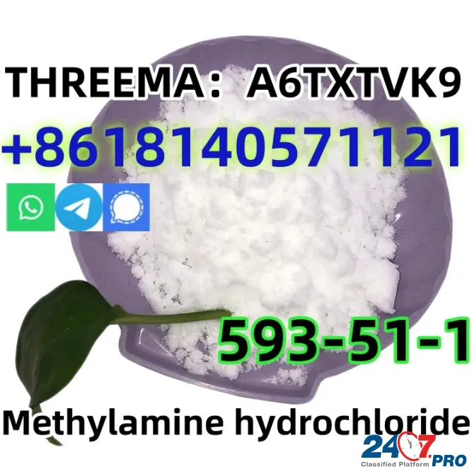 CAS 593-51-1 Methylamine hydrochloride LT-S9151 good price with high qualtiy Хэфэй - изображение 2