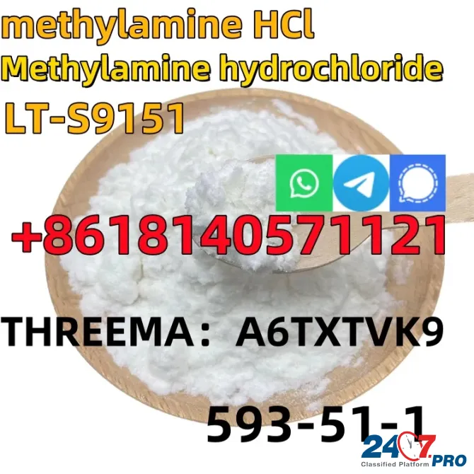 CAS 593-51-1 Methylamine hydrochloride LT-S9151 good price with high qualtiy Хэфэй - изображение 1