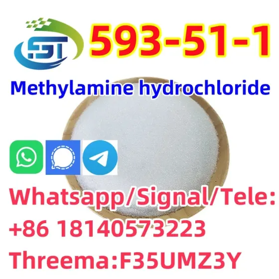 CAS 593-51-1 Methylamine hydrochloride LT-S9151 good price with high qualtiy Барисал