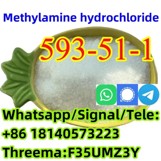 CAS 593-51-1 Methylamine hydrochloride LT-S9151 good price with high qualtiy Barisal