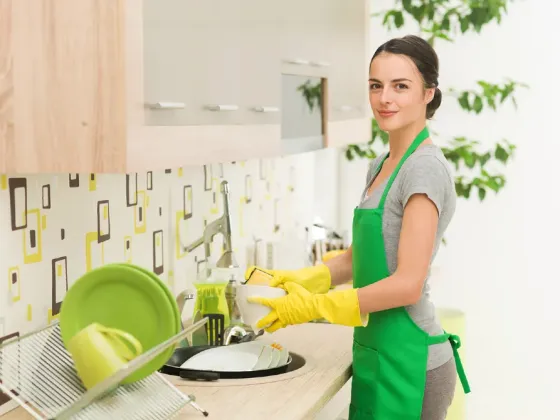Требуется ответственная женщина для работы по дому, Польша Ереван