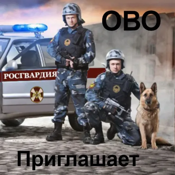 Приглашаем в ОВО г. Радужный - Полицейским (водителем) отделения полиции Raduzhnyy