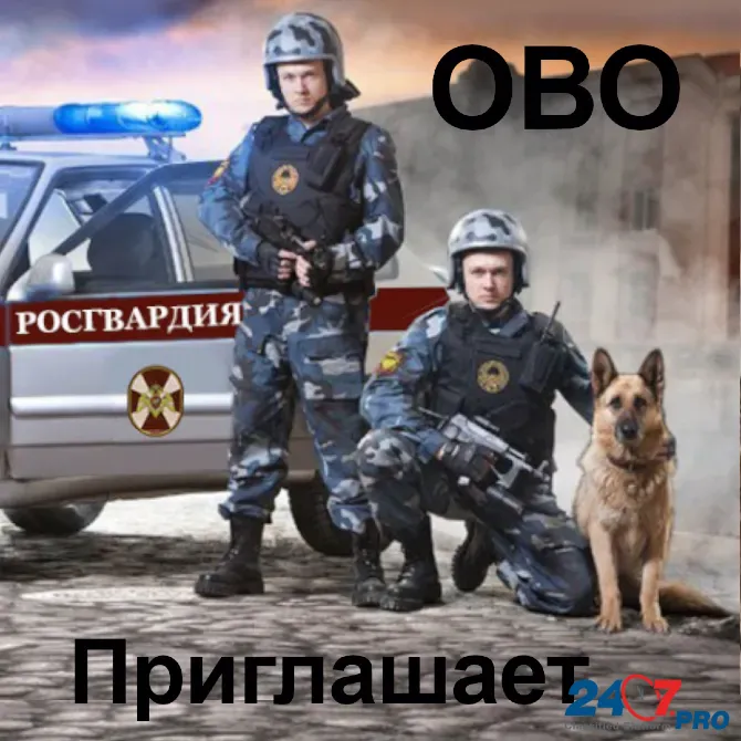 Приглашаем в ОВО г. Радужный - Полицейским (водителем) отделения полиции Raduzhnyy - photo 1