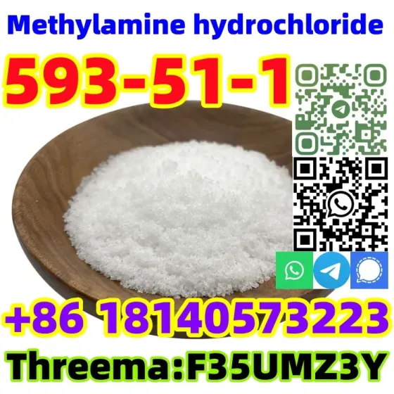 Buy Hot sale CAS 593-51-1 Methylamine hydrochloride with Safe Delivery Канберра