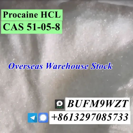 Signal@cielxia.18 Warehouse delivery CAS 51-05-8 Procaine HCL Moscow
