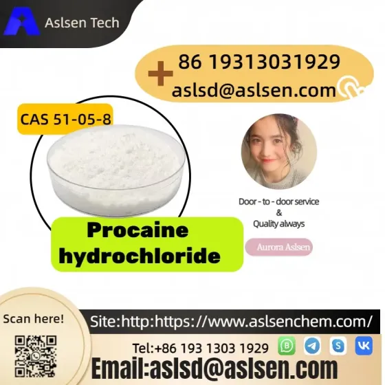 Procaine hydrochloride CAS 51-05-8 Changsha