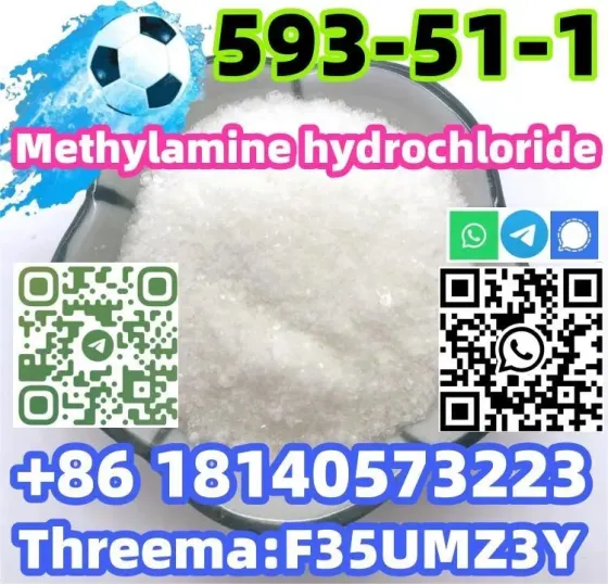 Buy Hot sale CAS 593-51-1 Methylamine hydrochloride with Safe Delivery Bridgetown
