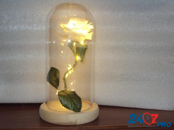 Роза с подсветкой в колбе Липецк - изображение 1