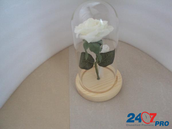 Роза с подсветкой в колбе Липецк - изображение 2
