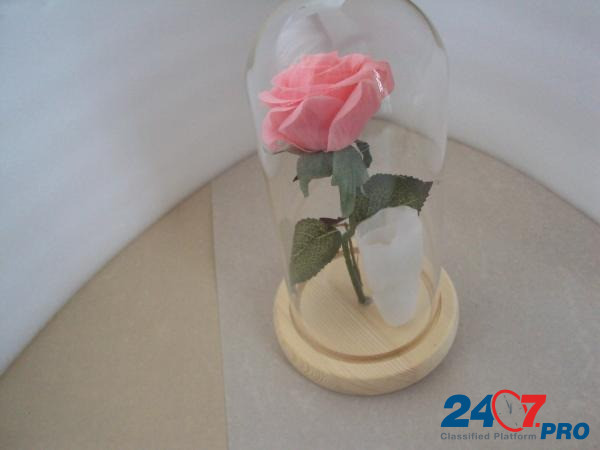 Роза с подсветкой в колбе Lipetsk - photo 7