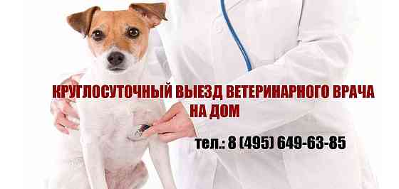 Ветклиника в Цао. Ветеринарная клиника в ЦАО Москва Moscow