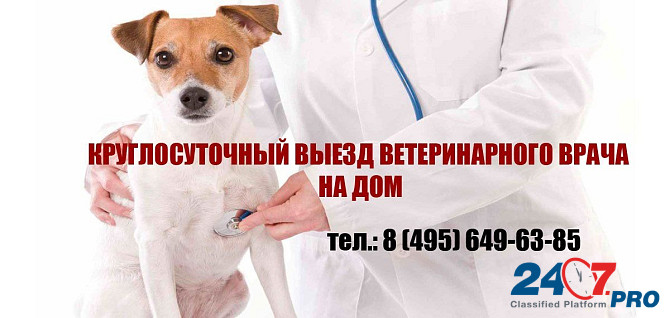 Ветклиника в Цао. Ветеринарная клиника в ЦАО Москва Moscow - photo 1