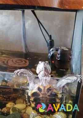 Аквариум для черепахи Tula