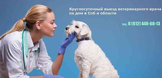 Ветеринарная клиника в Санкт-петербурге с выездом на дом Sankt-Peterburg