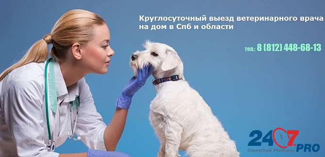 Ветеринарная клиника в Санкт-петербурге с выездом на дом Sankt-Peterburg - photo 1