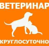 Выезд ветеринарного врача на дом во все районы Санкт-петербурга Sankt-Peterburg