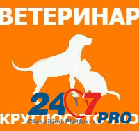 Выезд ветеринарного врача на дом во все районы Санкт-петербурга Санкт-Петербург - изображение 1