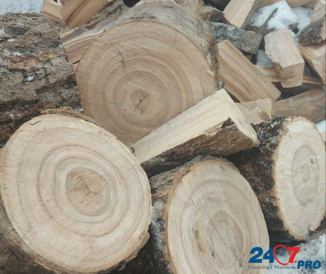 Продам дрова колотые Тула - изображение 2