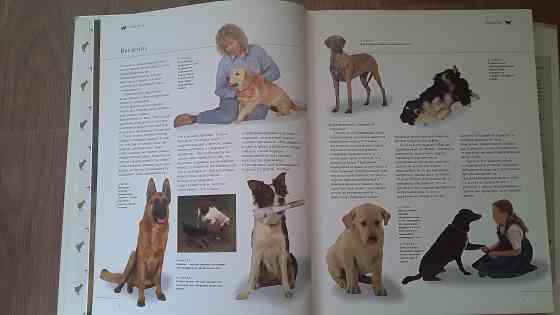 Продаем большую красочную энциклопедию "все О Собаках ".В отличном состоянии. Размер 310- 260 мм. 260 страниц. Выбор, кормление, лечение, ус Ust-Kamenogorsk