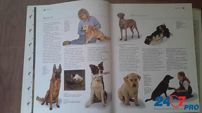 Продаем большую красочную энциклопедию "все О Собаках ".В отличном состоянии. Размер 310- 260 мм. 260 страниц. Выбор, кормление, лечение, ус Ust-Kamenogorsk - photo 3
