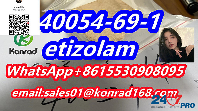 Etizolam CAS 40054-69-1 Farah - photo 1