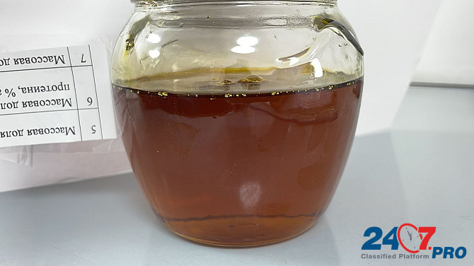 Soybean Oil Kazakhstan Соевое нерафинированное масло Galaba, Hairaton, Serhetabad Кабул - изображение 2